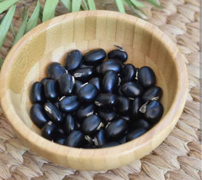 sarvadhya BLACK KOUCH SEED (500 GM )(500 g)