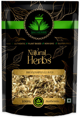 SAI HERBS Biranjasipha Leaves - Achillea Millefolium Leaves - Pure & Natural(500 g)