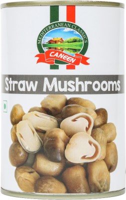 caneen Can_strawmushroom400_pk1(400 g)