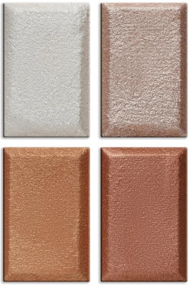 BLUEMERMAID PROFESSIONAL 4 IN 1 MULTI-COLOR HIGHLIGHTER PELLET FOR WOMEN Highlighter(TRANSPARENT)