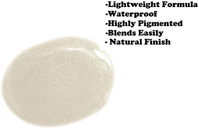 nn Ultra Shimmery Shine | Long Stay | Silver Liquid  Highlighter(Silver)