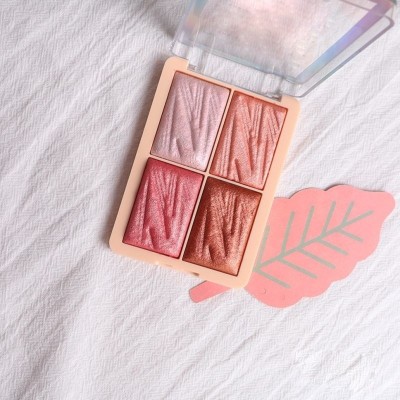 Emijun Eye Shadow Powder Highlighter Gloss Matte finish Eye Highlighter(multi color)