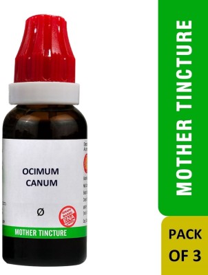 Bjain Ocimum Canum Q Mother Tincture(3 x 30 ml)