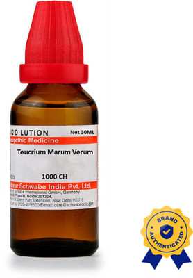 Dr.Willmar Schwabe India Teucrium Marum Verum 1000 CH Dilution(30 ml)