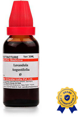 Dr.Willmar Schwabe India Lavandula Angustifolia Q Liquid(4 x 30 ml)