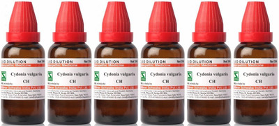 Dr.Willmar Schwabe India Cydonia Vulgaris 30CH Liquid(6 x 30 ml)
