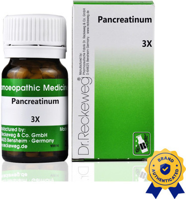 Dr. Reckeweg Pancreatinum 3x Tablets(2 x 20 g)