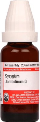 Dr.Willmar Schwabe Germany Syzygium Jambolinum Q Mother Tincture(20 ml)