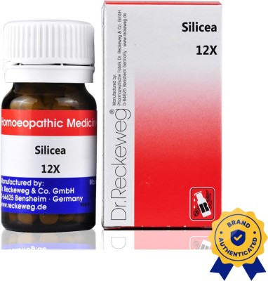 Dr. Reckeweg Silicea 12x Tablets(2 x 20 g)