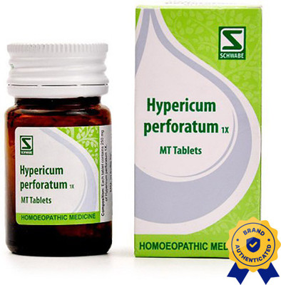 Dr.Willmar Schwabe India Hypericum Perforatum 1X Tablets(20 g)