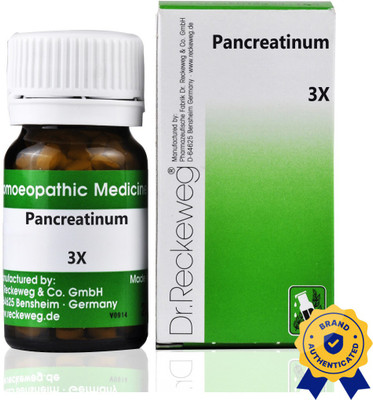 Dr. Reckeweg Pancreatinum 3x Tablets(5 x 20 g)