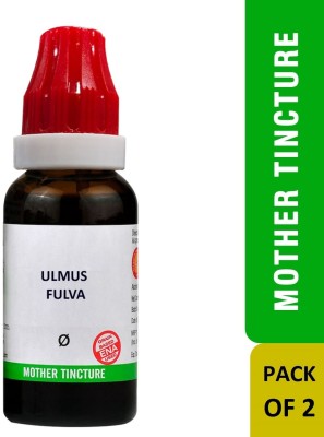 Bjain Ulmus Fulva Q Mother Tincture(2 x 30 ml)