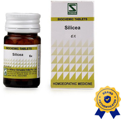 Dr.Willmar Schwabe India Silicea 6X 6X Tablets(3 x 20)
