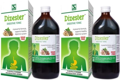 Dr.Willmar Schwabe India Dizester , Syrup(2 x 500 ml)