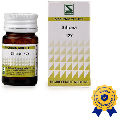 Dr.Willmar Schwabe India Silicea 12X 12x Tablets(5 x 20)