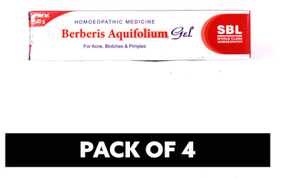 SBL Berberis Aquifolium Gel Ointment(4 x 25 g)