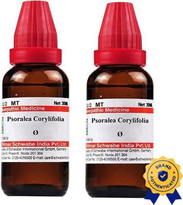 Dr.Willmar Schwabe India Psoralea Corylifolia Q Liquid(2 x 30 ml)