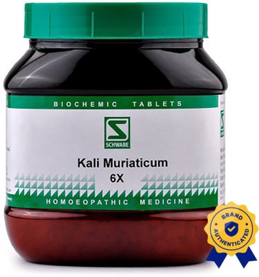 Dr.Willmar Schwabe India Kali Muriaticum 6X Tablets(550 g)