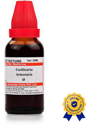 Dr.Willmar Schwabe India Cochlearia Armoracia MT Mother Tincture Liquid(3 x 30)