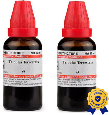 Dr.Willmar Schwabe India Tribulus Terrestris Q Liquid(2 x 30 ml)