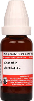 Dr.Willmar Schwabe Germany Ceanothus Americana Q Mother Tincture(20 ml)