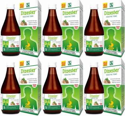 Dr.Willmar Schwabe India Dizester Herbal , Syrup(6 x 200 ml)