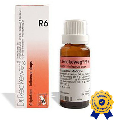 Dr. Reckeweg R6-Influenza Drops(2 x 22)