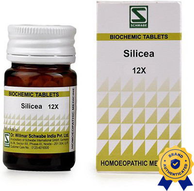 Dr.Willmar Schwabe India Silicea 12x Tablets(20 g)