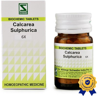 Dr.Willmar Schwabe India Calcarea Sulphurica 6X Tablets(20 g)