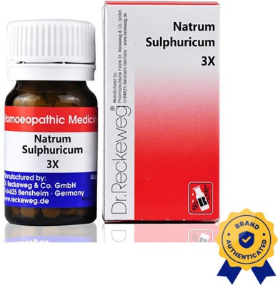 Dr. Reckeweg Natrum Sulphuricum 3X Tablets(3 x 20 g)