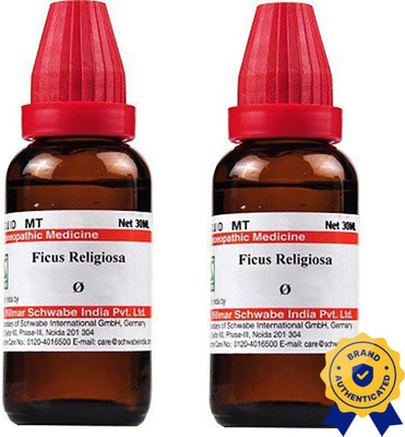 Dr.Willmar Schwabe India Ficus Religiosa Q Liquid(2 x 30 ml)