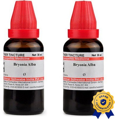 Dr.Willmar Schwabe India Bryonia Alba Q Liquid(2 x 30 ml)