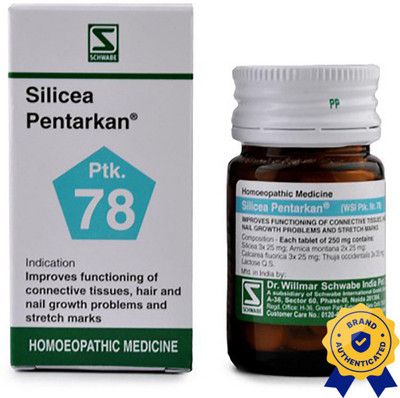 Dr.Willmar Schwabe India Silicea Pentarkan (Ptk 78) Tablets(20 g)