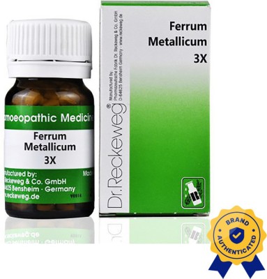 Dr. Reckeweg Ferrum Metallicum 3x Tablets(2 x 20 g)