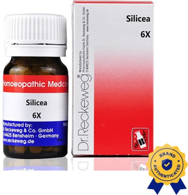 Dr. Reckeweg Silicea 6X Tablets(3 x 20 g)