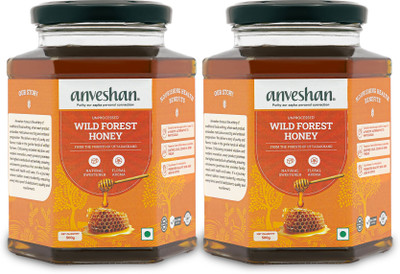 Anveshan Wild Forest Honey | 500gm | Glass Jar | Unprocessed | NMR tested(2 x 500 g)