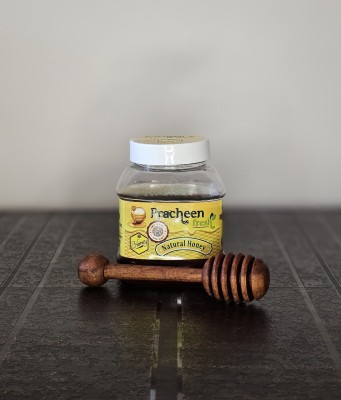 Pracheen Fresh Pure Natural Honey, 250gms(250 g)