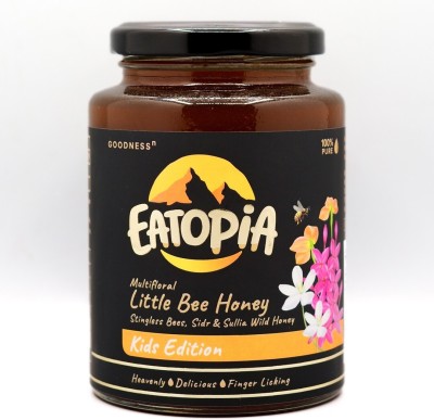 EATOPiA Kids Edition Multifloral Little Bee Honey. Stingless Bee honey, Sidr & Sullia Wild Honey(250 g)