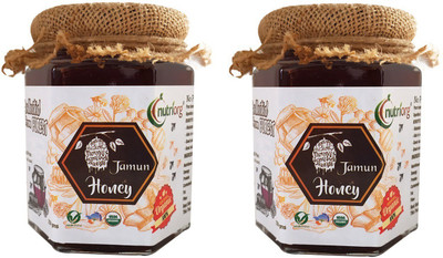 Nutriorg Jamun Honey 500 G(2 x 125 g)