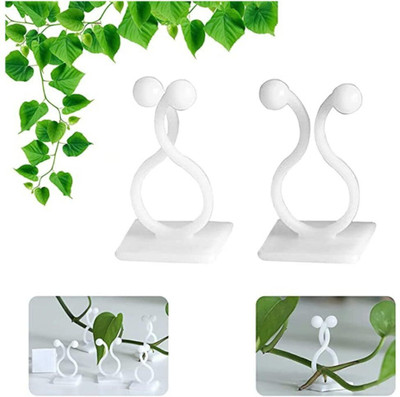 Kelexx Plant Climbing Wall Fixture Clips Wall Plant Holder Self-30 pcs Hook 30(Pack of 1)