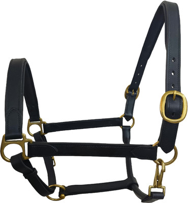 KTE Halter Horse Bridle(For  Horse Black)