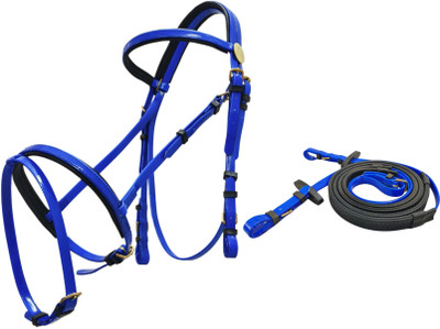 KTE Snaffle Horse Bridle(For  Horse Blue)