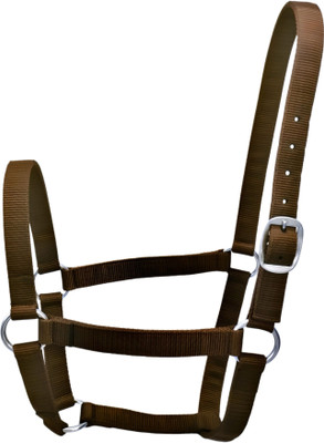 KTE Halter Horse Bridle(For  Horse Brown)