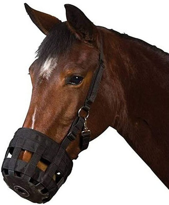BLESSING PET PRODUCT Bitless Horse Bridle(For  Horse BLACK)