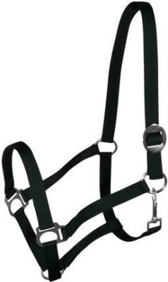 BLESSING PET PRODUCT Halter Horse Bridle(For  Horse BLACK)