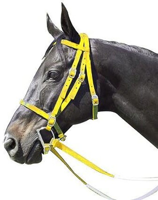BLESSING PET PRODUCT Harness Horse Bridle(For  Horse yellow)