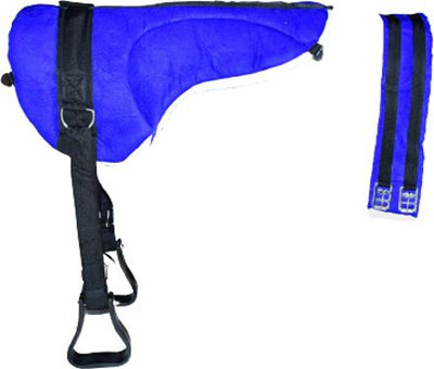 Petworld Harness Horse Bridle(For  Horse BLUE)