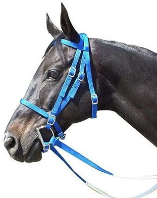BLESSING PET PRODUCT Harness Horse Bridle(For  Horse BLUE)