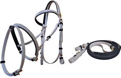 KTE Snaffle Horse Bridle(For  Horse White)