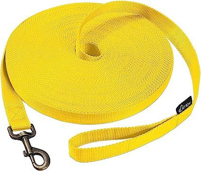 BLESSING PET PRODUCT Horse Lead